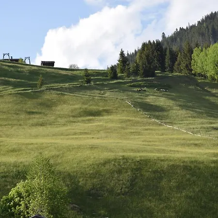 Ramona Apartment Holzgau