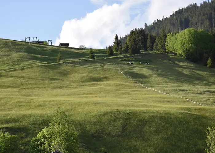 Ramona Διαμέρισμα Holzgau